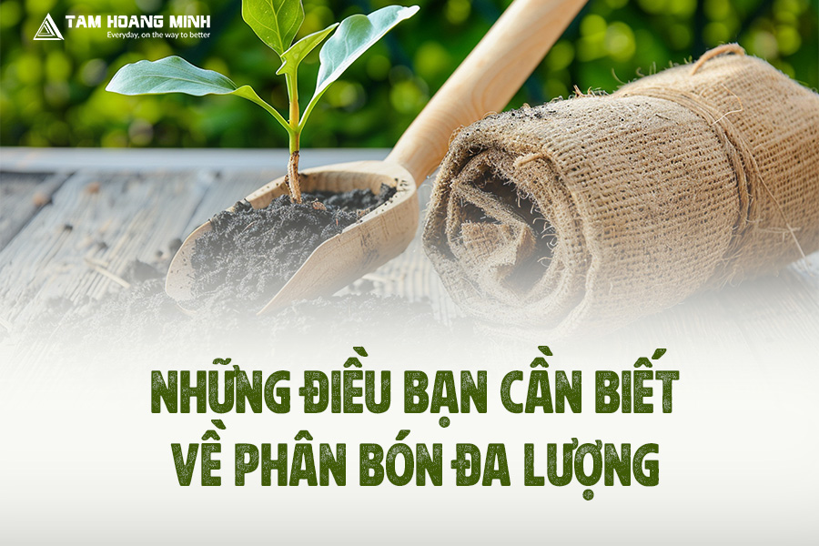 NHỮNG ĐIỀU BẠN CẦN BIẾT VỀ PHÂN BÓN ĐA LƯỢNG