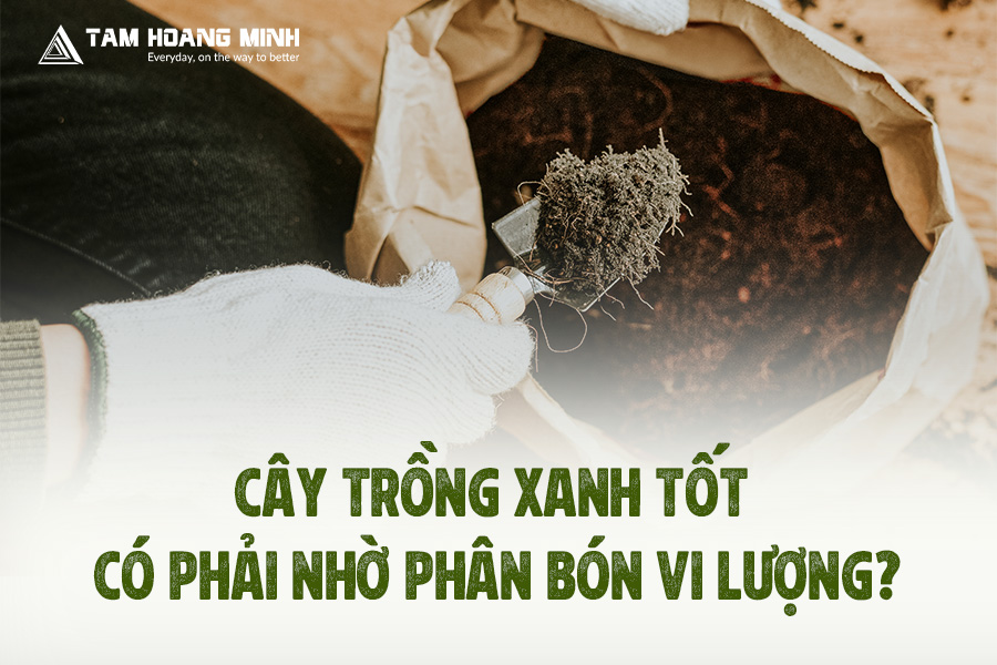 CÂY TRỒNG XANH TỐT CÓ PHẢI NHỜ PHÂN BÓN VI LƯỢNG?