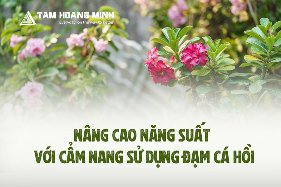 CẨM NANG SỬ DỤNG ĐẠM CÁ HỒI