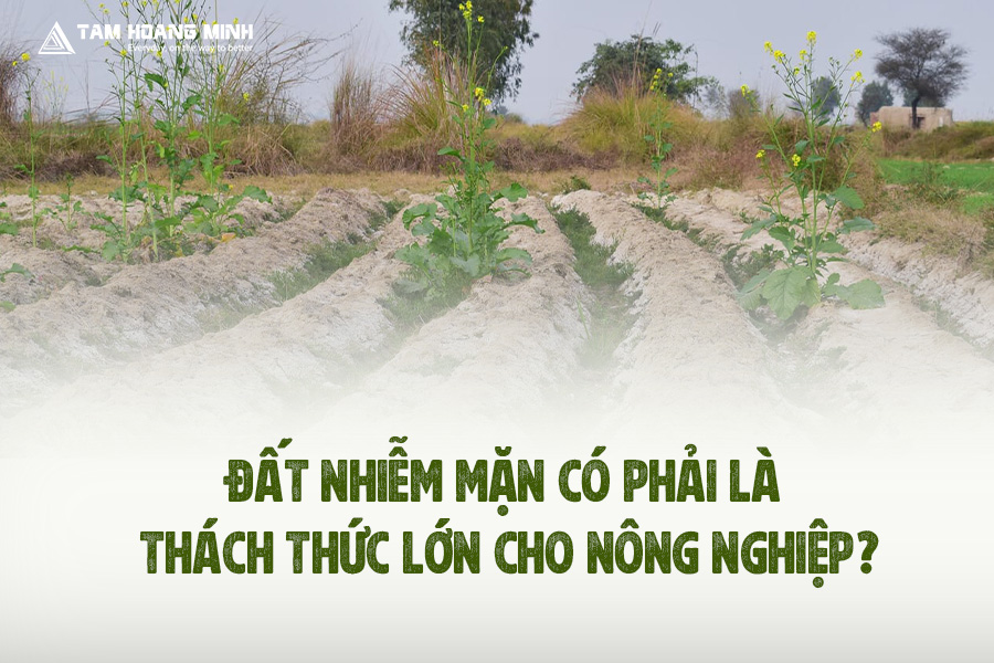 ĐẤT NHIỄM MẶN CÓ PHẢI LÀ THÁCH THỨC LỚN CHO NÔNG NGHIỆP?