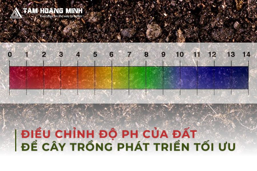 ĐIỀU CHỈNH ĐỘ PH CỦA ĐẤT ĐỂ CÂY TRỒNG PHÁT TRIỂN TỐI ƯU